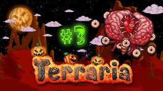 Выживание в Terraria (Expert) - Долгожданный Хэллоуин и Мозг Ктулху #3