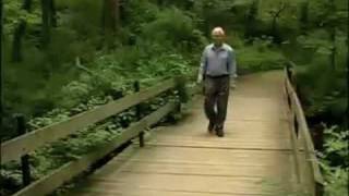 Walkabout: Donaldson Run