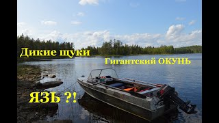 Вот ЭТО КЛЁВ! КАРЕЛИЯ. Рыбалка. День 1-2.