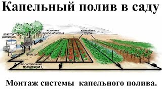 Капельный полив в саду - Монтаж системы  капельного полива.