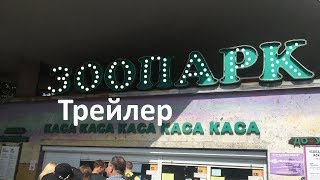 Поход в Киевский Зоопарк трейлер