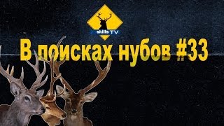 В поисках нубов #33