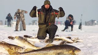 РЫБАЛКА НА КОМБАЙНЫ! Рыба Атаковала МОИ САМОДЕЛКИ! Зимняя рыбалка на блесна с глубины.