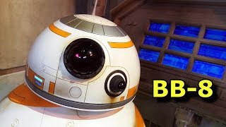 BB-8 Meet & Greet - Star Wars Launch Bay - Disney's Hollywood Studios - Soft Opening