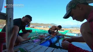 Trúng Bầy Cá Róc ở Đầm Môn l Cận Cảnh Cá Biển Ăn Mồi và Dính Lưỡi