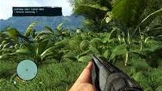 FAR CRY 3 FPS PERFORMANCE-GTX 680 SLI-OPTIMAL SETTINGS-2560X1600-EXTREME GAMING