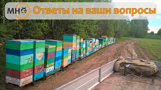 Ответы: замена маток, кочевая пасека, сетчатое дно.