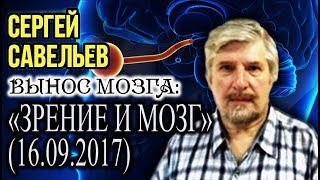 «ВЫНОС МОЗГА #10»: «Зрение и мозг». 16.09.2017. Савельев С.В.