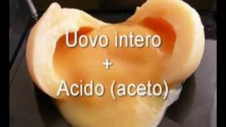 Uovo + aceto