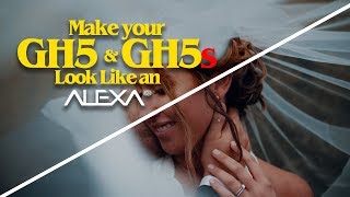 This LUT Makes Your GH5 & GH5s Look Like an Arri Alexa | GHAlex LUT Review
