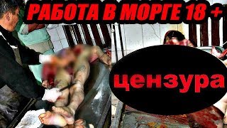 КАК УСТРОЕНА РАБОТА В МОРГЕ 18+