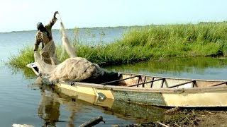 Nigerian Refugees' Safety Net in Chad