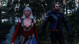 The Witcher 3|1440p60|Console Extensions, Multi companion Mod (Play any Character|Multi Followers)