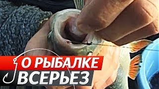 Ловля хищной рыбы на Живца поздней осенью. "О Рыбалке Всерьез" видео 142.
