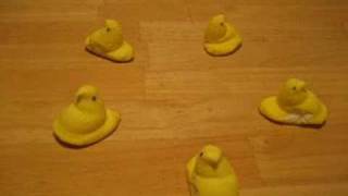 happy easter peeps stop motion video dance