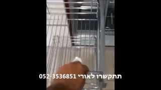 מגיק קורנר לא תקין נגרייה ניידת אורי מומחה לתיקונים חידוש רהיטים