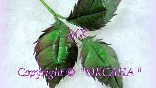 Мк листьев  из  Иранского  фоамирана
