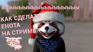 Как сделать енота, как у Клэша Klash Доги, Йоги (животное на стриме ) ♚♚♚