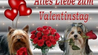 Einen schönen Valentinstag wünsche Ich / A beautiful Valentine's Day I wish