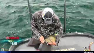 Taste the Bait: Kevin VanDam's many techniques for smallmouth on the St. Lawrence River