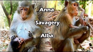 True Life Make ALBa Know All Situation Like Fight Kidnapped Suffer Block Milk And Attack From Anna