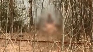Парочка трахается в лесу на глазах молодёжи. Real video
