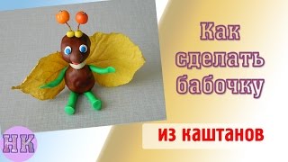 Поделки из каштанов: как сделать бабочку