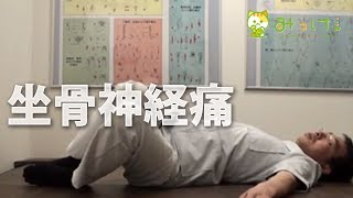 坐骨神経痛で足が痛くて歩けない時の対処法　横浜市鶴見区の「てらお整体院」