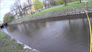 Ett (Misslyckat) Gös Fiske