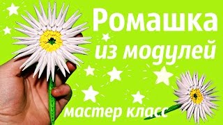 Ромашка Из Модулей Своими руками | Модульное оригами | Мастер Класс