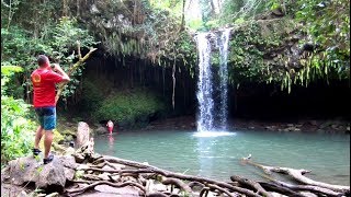Exploring MAUI, HAWAII: Jungle Hiking, Waterfalls & Cliff Jumping