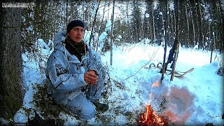 Охота в январе на лыжах / Поиски боровой птицы в январе / Карабин СКС / МаслаковTV