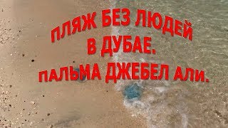 Пляж без людей в Дубае|Пальма Джебел Али