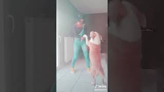 Vidio  Anjing Jilat memek 18+