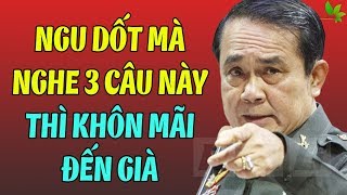 Nghe 3 Đúng Câu Này Mà Giúp Bạn Khôn Mãi Đến Già – Sống Khôn Ngoan Ăn Ở Có Đức Nhớ Kỹ