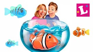 ✿ RoboFish - обзор интерактивной игрушки ✿ Robo Fish in Aquarium