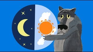Сегодня все по половине  - полдня, полночи, даже вечер пополам !#Мирпоздравлений