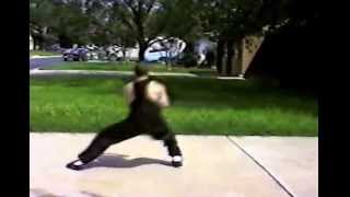 ThePit Austin: Seven Star Praying Mantis Form 螳螂拳