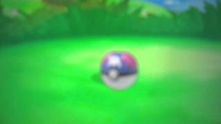 Shiny Ditto in Pokemon Y