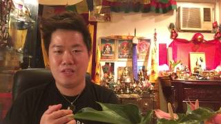 「幸運起源」第一集：“斑彩螺幸運石之名”