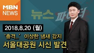 2018년 8월 20일 (월) 뉴스파이터 다시보기 - '충격', 도심 한 가운데서 시신 발견