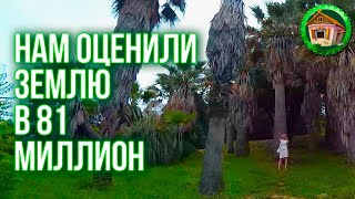 ?НАМ ОЦЕНИЛИ ЗЕМЛЮ В 81 МИЛЛИОН! Налоговая Сошла с Ума?! Надо ли Платить Налог?