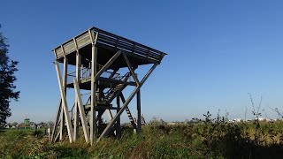 Uitkijktoren op de Zaanse Schans, Het Jonge Schaap zaagt het hout