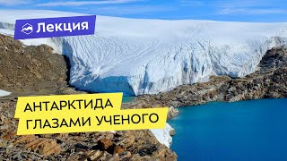 Антарктида: как там живут и что изучают