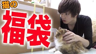 猫の福袋買ったら大好評すぎた！！！