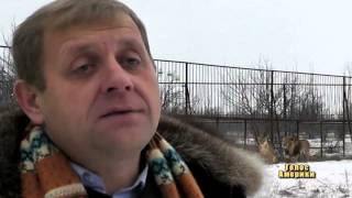 Леви серед українських снігів