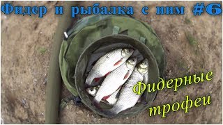 Фидер и рыбалка с ним #6. Язь и лещ на фидер, трофейная рыбалка. Испорченный выпуск.