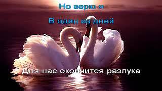 Караоке от Жемчужинки Два белых лебедя