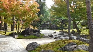 美しい日本庭園と牡丹の花、島根県の由志園
