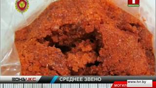 В Могилевском районе оперативники задержали закладчиков психотропов. Зона Х